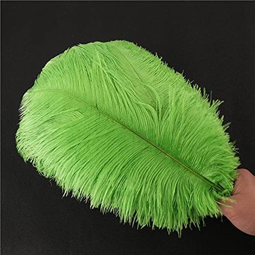 Zamihalaa 10-200pcs Avestruz verde de maçã Feather 15-70cm Feathers DIY para artesanato Decorações de vestidos de noiva de festa de Natal-20-25cm 8-10 polegadas-10pcs