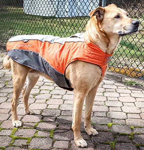 Doghelios 'Altitude-Mountaineer' Wrap-Velcro Protetor à prova d'água Pet Dog Casat Wenket W/ Blackshark