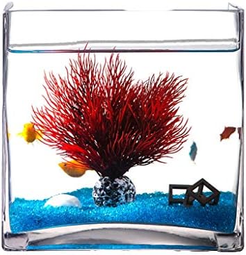 Hanxiaoyishop Fish Bowl Personalidade Criativa Praça de vidro Tanque de peixe Aquário Casa sala de estar com mesa de tartaruga de