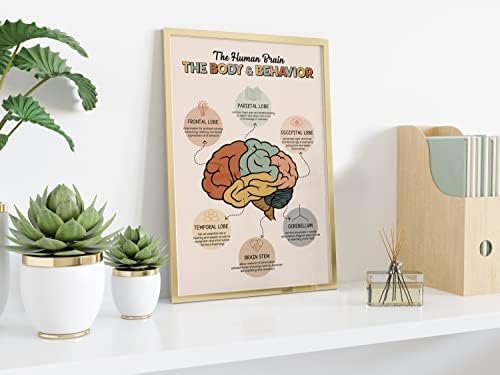 O cérebro humano O corpo e o comportamento Cartão de cartaz Anatomia e psicologia Psicologia Poster terapia Decoração do escritório