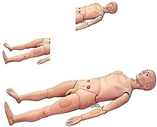 Wfzy Patient Care Manikin Training simulador de RCP