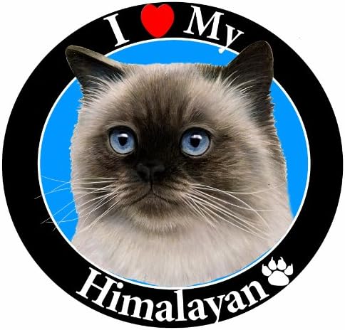 Eu amo meu ímã do carro do gato do Himalaia com fotografia de gato do Himalaia no centro coberto de brilho UV para o clima e o