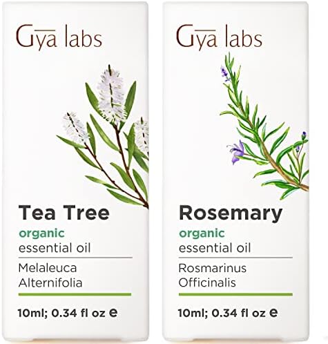 Óleo da árvore do chá para a pele e óleo de alecrim orgânico para o conjunto de crescimento de cabelo - de óleos essenciais