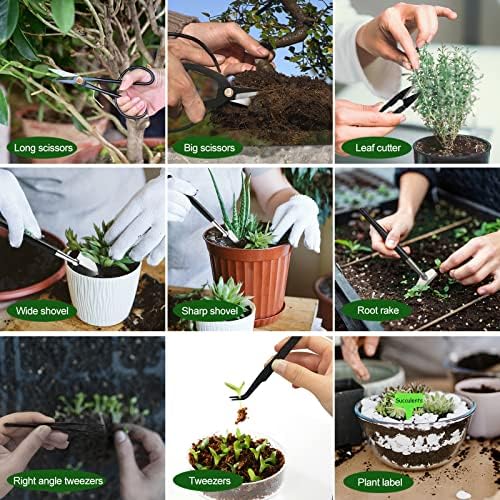 Kit de BONSAI TREED, conjunto de ferramentas YznLife 24 PCs Bonsai, ferramentas de apartamento de jardinagem Kit suculento