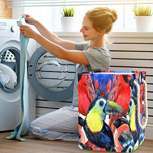 Deyya Birds Tropical Cestas de lavanderia colorida cestam altas resistentes dobráveis ​​para crianças adultas meninos