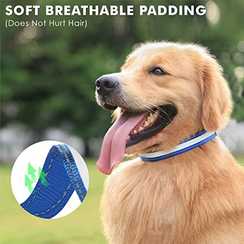 Gola de cachorro LED Guuueoo, colares de cães iluminados com resistência à tração de até 150 kg, nylon respirável recarregável e impermeável, 3 modos de luz ajustável