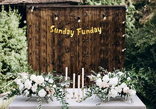Domingo Funday Gold Glitter Banner - brunch, chuveiro de noiva, casamento, aniversário, decorações de festa de despedida de solteira,