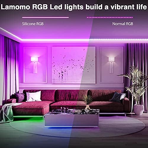 Luz de corda de neon RGB 12V RGB, LED Neon Flex LED LIVRES LUZES DE ALEXA SILICONE compatível com 16,4 pés de alteração de Wi-Fi Bluetooth Phone App Control com