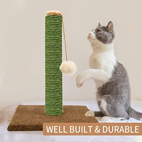 Corda verde de sisal 1/4 polegada por 32 pés para gatos arranhando o reparo e substituição da substituição da torre de árvore post, corda de barbante de cânhamo DIY para gatinhos prateleiras de mobília de móveis Cama de poleiro escalada, 6mm por 10m