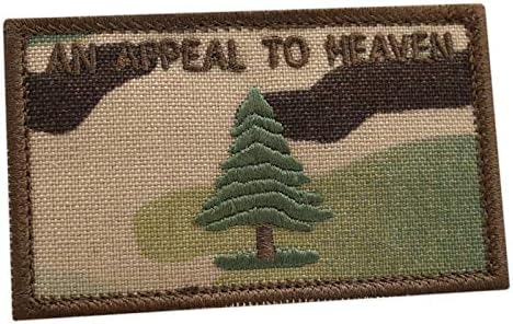 Multicam Um apelo ao Heaven Pine Tree 2x3.25 American Revolution Patriot USA Morale Hook Cap Patch