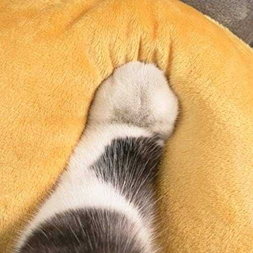 Cama de cachorro Axties Beds de cachorro Cama de gato Cama de cachorro Cama criativa Pad para dormir macio e confortável fácil