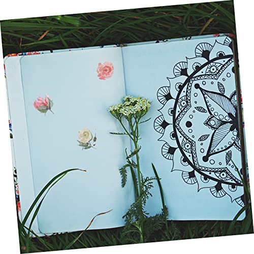 Excety 30 Sets Foto Nota Stationery Creative Scrapbooking Plants Notebook Suprimentos Diário Papel de fundo álbum Páginas Decal
