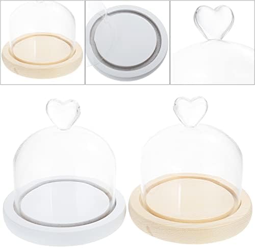 Hanabass Circle Bandeja Decoração de Decoração Tampa Diretiva Tampa 2pcs Dome Vidro Dome seco Vidro Vidro Dome Vidro Dome Bell Jar Exibição da caixa de comprimido cloche Display Cupcakes