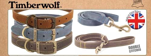Timberwolf Leather Collar Blue Size 2, para encaixar no pescoço 26-31 cm, largura de colarinho 1,6 cm