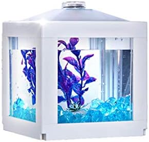 Luckxuan Fish Tank Personalidade Creative acrílico de peixe cilindro aquário Aquário Desktop Sala de estar de estar aquário de aquário