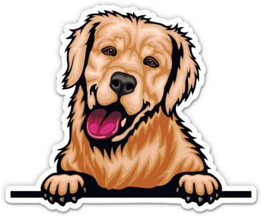 Golden Retriever Peeking Dog Stickers - 2 pacote de adesivos de 3 - Vinil à prova d'água para carro, telefone, garrafa