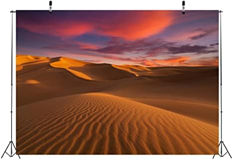 Loccor 10x8ft Fabric Desert Desert Sunset Dunes Dunes Penas da paisagem Ocidental Antecedentes Cenário natural Cenário de tapeçaria