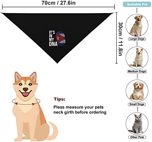 Está na minha bandeira cubana de DNA bandanas pet shalloween trajes para cães gatos gatos triângulo de estimação de pet bandanas