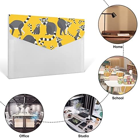 Lemurs de Madagascar 6-Pocket File Pasta Plástico Importan Document Paper Organizer Rótulos Pastas de acordeão com fechamento de