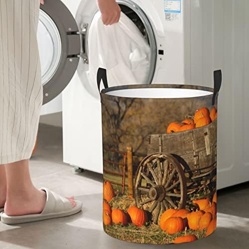 Pumpkins Rolley Imprimir grande cesta de lavanderia com maça