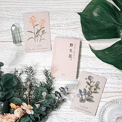 Conselhos coreanos de flores silvestres Oracle Tarot Cards - As ilustrações não foram processadas por obras de arte