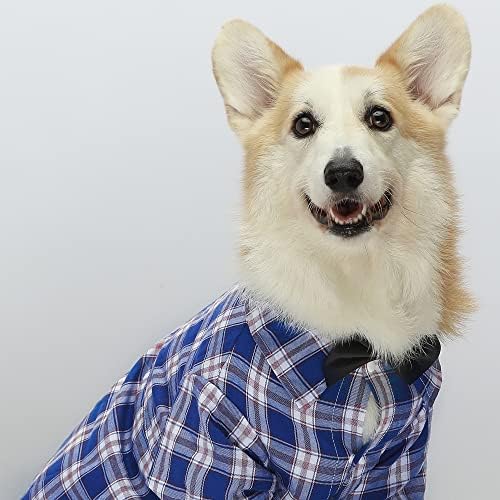 Camisa de cachorro xadrez em Tartan Fitwarm, roupas formais para cães para cães pequenos menino, camisas de colarinho com gravata