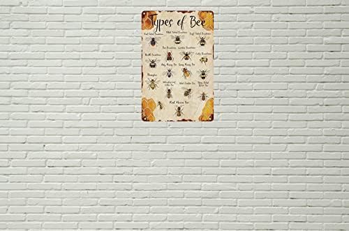 Sinal de lata de abelha vintage tipos engraçados de sinais de lata de metal de abelha arte de parede perfeita para a decoração de parede de cafés de jardim em casa 8x12 polegadas multicolor
