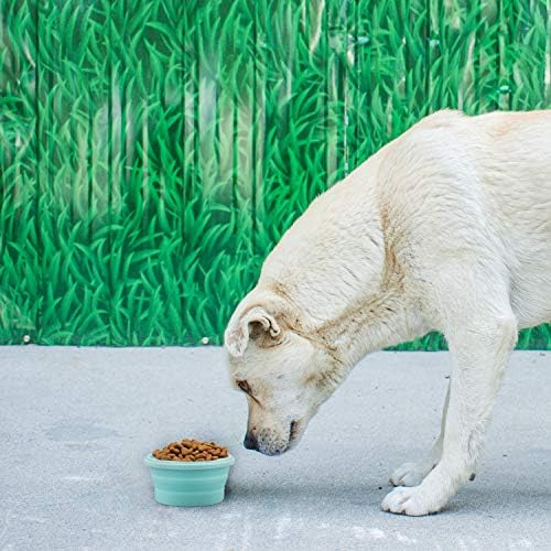 Luter 2 peças tigelas de cachorro dobráveis ​​tigela de água de silicone Viagem com tampas portáteis de estimação de copo