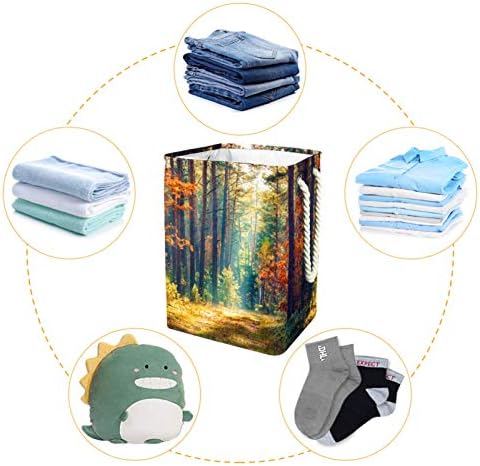 Mapolo Laundry dificultou a floresta de outono da floresta Landacape Landacape Cesto de armazenamento de lavanderia