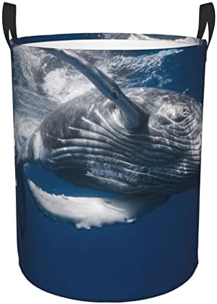 Posters de peixe de animais oceanos imprimindo cesto de lavanderia grande com alça de alça de alça, à prova de água, cesto de lavanderia para quarto, banheiro pequeno