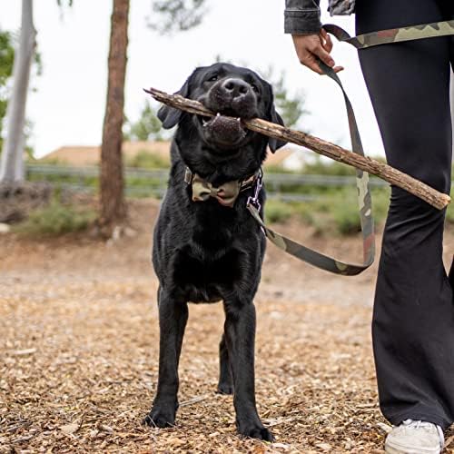 Cola de cachorro Ultra Joys com a gravata borboleta - tecido de algodão confortável com fivela de metal durável em design de camas - colar de tamanho médio com gravata borboleta removível