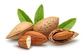 Barefoot Venus Macadamia Nut Body Cream Loção Eco-Refille 250 ml