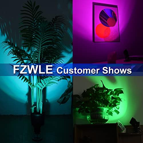 Fzwle 2 pacote de 6w RGBW Spot Lights Indoor LED Spotlight com controle remoto, iluminação de alteração de cores,