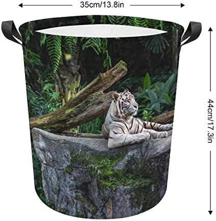Tigre branco descanso na cesta de lavanderia florestal com alças redondas de lavanderia dobrável cesta de armazenamento para banheiro