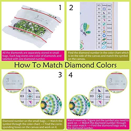 Ligho -desed Ralo Papagaio Owl 5D Diamond Painting Kits para adultos e crianças tinta de diamante com diamantes tinta diy