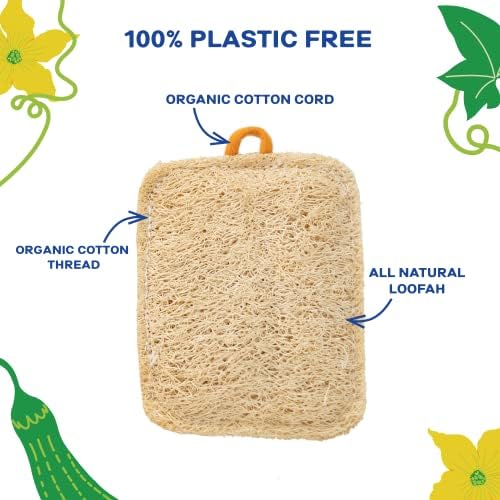 Qucurby All Natural Loofah Kitchen Sponge - esponjas ecológicas - esponja compostável - esponjas biodegradáveis ​​cozinha