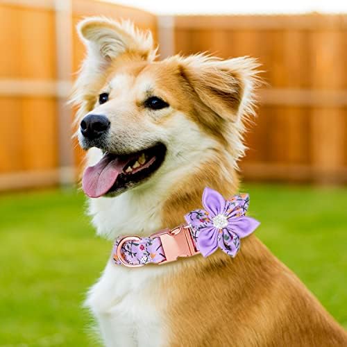 TDTOK Girl Dog Collar para cães grandes pequenos, colarinho de cachorro fofo com fivela de metal de segurança de flores destacável