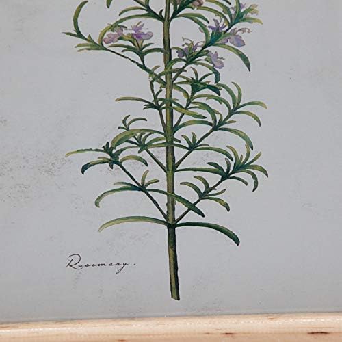 U/A Herb Wood 10,5 x12.5 quadro, conjunto de 4 por Drew Barrymore Flower Home