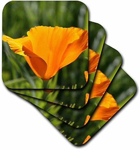 3drose LLC Linda laranja California Poppy Flower- Spring Photography Ceramic Tile Monta russa, conjunto de 8