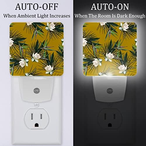 Rodailycay sensor de luz leve Floral Floral, 2 pacotes Night Lights Conecte-se na parede, luz noturna de LED branco quente para viveiro, quarto, banheiro, corredor, quarto infantil, escadas