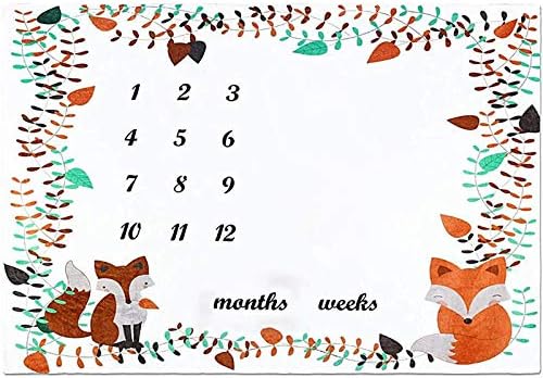 Viviei baby mensal marco cobertor raposa - menino e menina raposas meses cobertor com moldura de mês - olá cobertor de marco do bebê