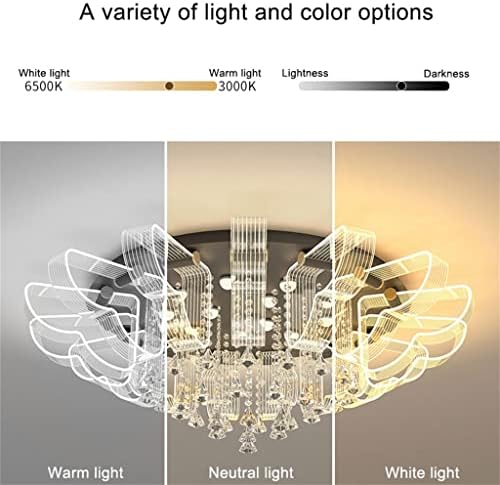 Luzes de teto Luyunqi LED Sala de cristal Light acrílico iluminação interna para o quarto Lamparas Techo Salon
