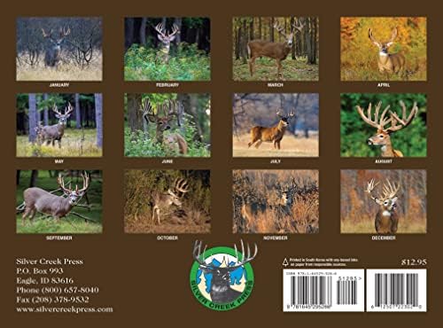 2023 calendário de parede de veados whitetail