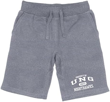 Universidade da Geórgia do Norte Nighthawks College College Fleece Shorts