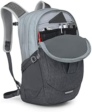 Backpack de laptop de Osprey Comet 30, revestimento de prata/visão de túnel