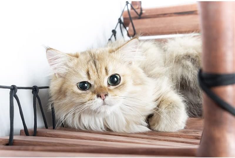 IULJH amarrado a gato de madeira Scratching Scratchers Mobras de calçada de escalada montada na parede Móveis de pet de pet