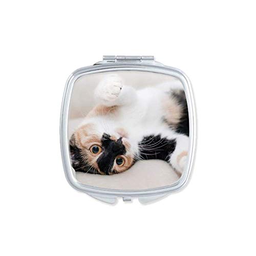 Kitty Cat Stripes Relax Sleep Sleep Animal Mirror Portátil Compact Pocket Maquia