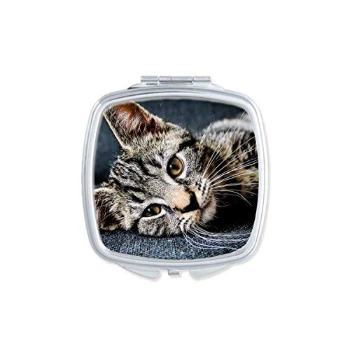 Cat Stripes Kitty Animal Relax Adorável espelho portátil composição de bolso compacto de dupla face de vidro