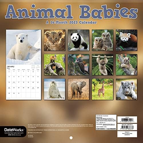 Calendário de bebês de animais 2023 - Deluxe 2023 Baby Animais Pacote de calendário de parede com mais de 100 adesivos