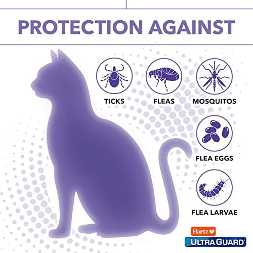 Hartz Ultraguard Pro Prevenção de pulgas e carrapatos para gatos e gatinhos, mais de 5 libras 6 tratamentos mensais